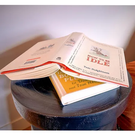 Le Petit Balcon Bleu דירה