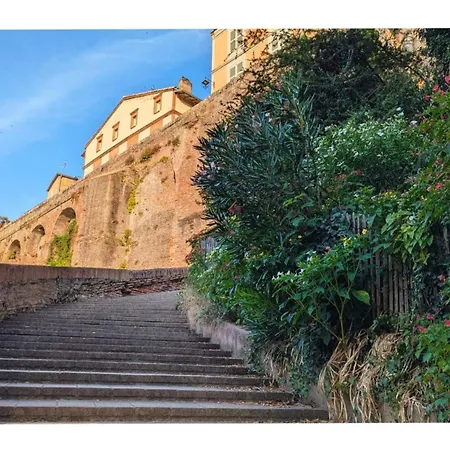 شقة Le Petit Balcon Bleu Rabastens